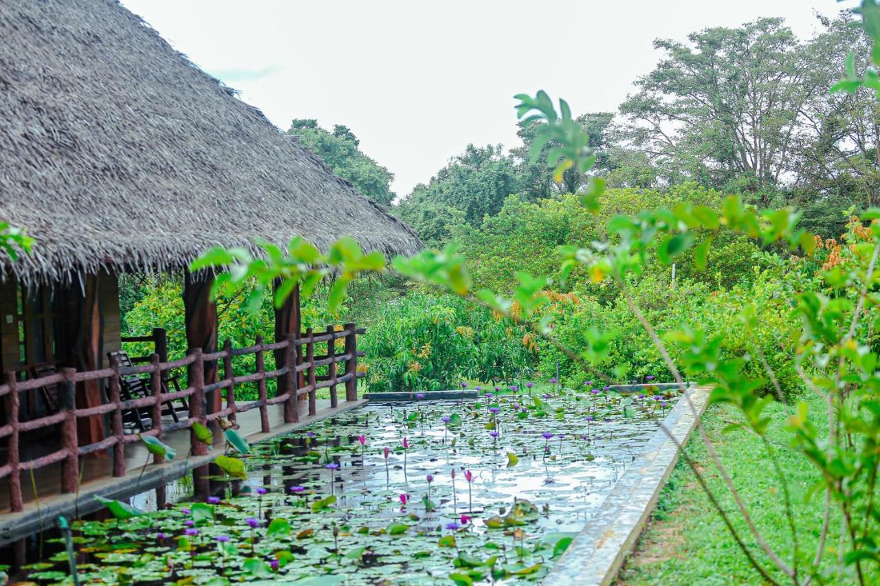 Sigiriya Water Cottage Exterior foto