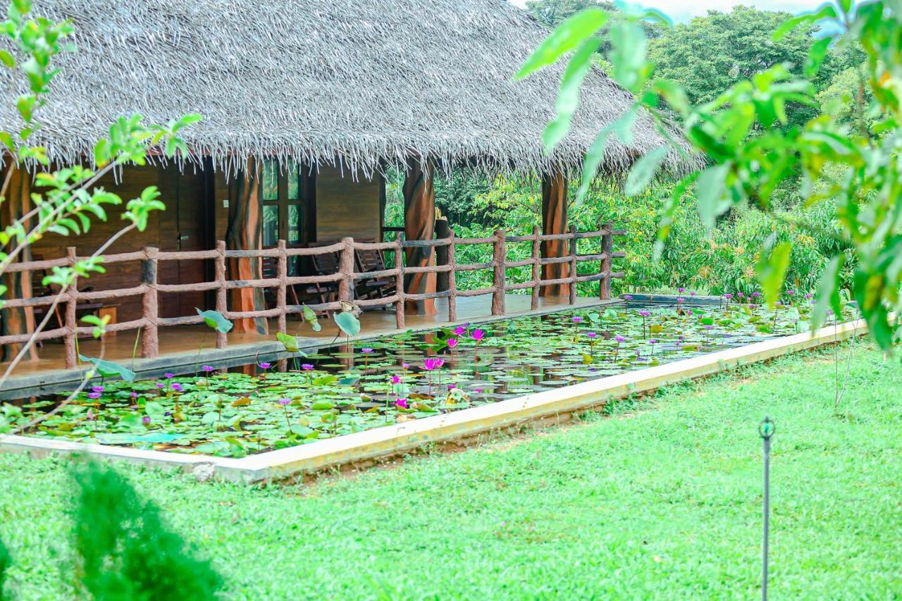 Sigiriya Water Cottage Exterior foto